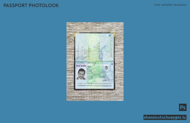Beispielansicht für ein slowenisches Passfoto